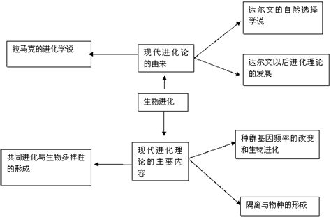 分歧型天擇|自然选择